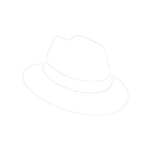 White Hat BR - Desenvolvimento Web Premium